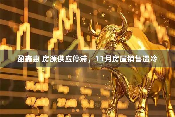 盈鑫惠 房源供应停滞,11月房屋销售遇冷